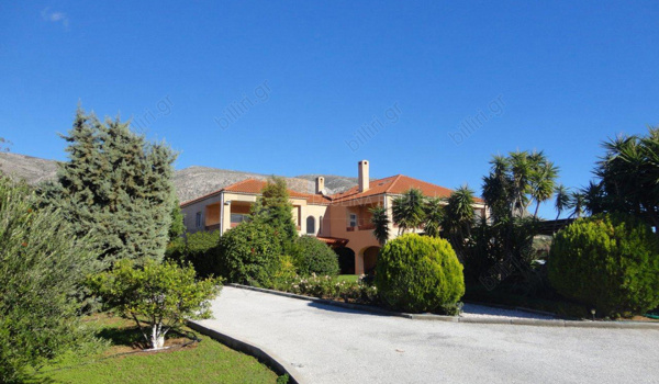Εξωτερική όψη - Outdoor view